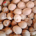 Wholesale Healthy Snack Export Chinese Walnut Paperture Shell Walnut